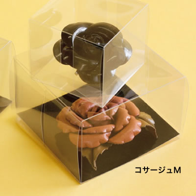 ���C�� �R�T�[�W���P�[�X <����> No.758 M