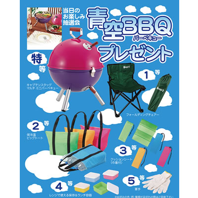 �G�s�I�X [�i�i�t������]��BBQ�v���[���g 6673 100�l�p