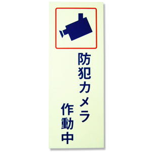 �L���E���c�T�C���e�b�N �h�ƃv���[�g �h�ƃJ�����쓮�� BH2-6
