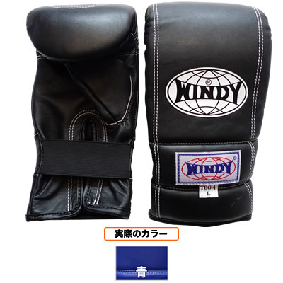 �p���`���O�O���[�u �e�w�J�b�g�^�C�v /�y�A L�T�C�Y TBG4L-BLU ��