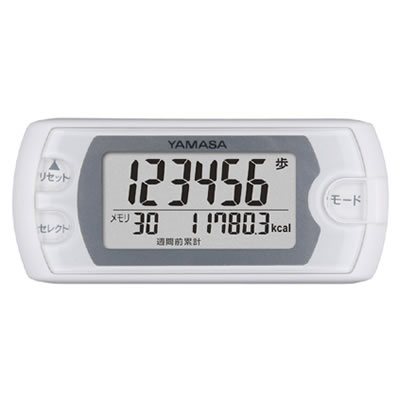 �����v �|�P�b�g���� EX-500 �s���A�z���C�g