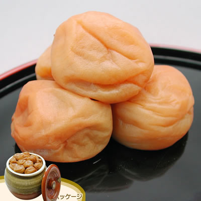 �}�����}�H�i ���o�� �I���~ �~�D�� 1140605 �Ēٓ���650g�~1��