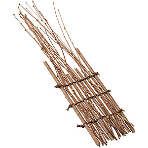 �������� �� ��