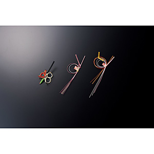 �V���������� 100�P�� ��