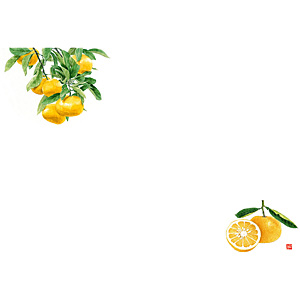 ��3 �e�[�u���}�b�g 100������ No.528 �݂���