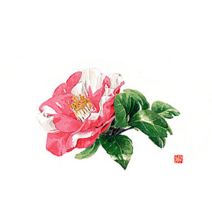 ��3 �e�[�u���}�b�g 100������ No.530 �΂�