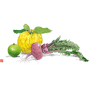 ��3 �e�[�u���}�b�g 100������ No.531 �S�M�q�ƐԃJ�u
