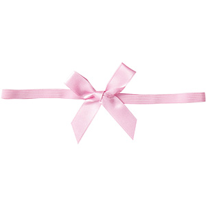 �N�C�b�N�S�����{�� 25�� �x�r�[�s���N