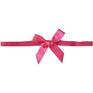 �N�C�b�N�S�����{�� 25�� �}�[���^