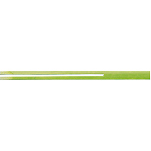 �c�y�� ���n 100�{ 12cm