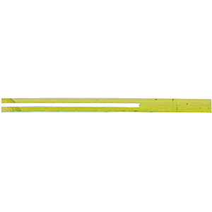 �c�y�� ���n 100�{ 10cm