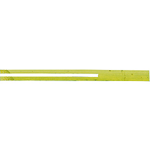 �c�y�� ���n 100�{ 8cm