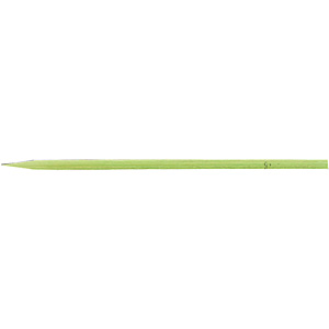 ���� 100�{ 24cm