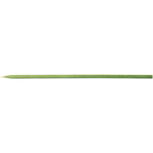 ���� �� 100�{ 24cm