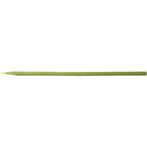 ���� �� 100�{ 21cm