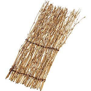 �������M 30�~12cm