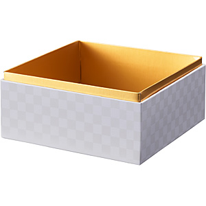 S�^�C�v KAMI-CASE �~�f�B�A�� �{�� �s����
