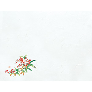 �a���e�[�u���}�b�g ��3 100�� ��V