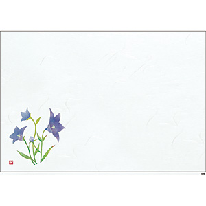 �a���e�[�u���}�b�g ��3 100�� �j�[