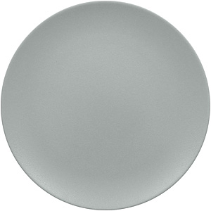 �l�I�t���[�W���� �t���b�g�v���[�g 29cm RA29001NFPG �s�^���O���[
