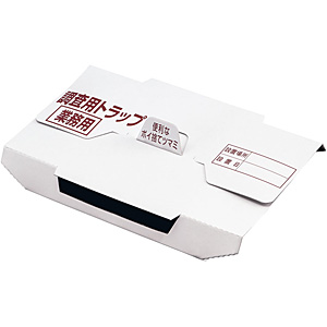 �L���`���E �S�L�u�������p �g���b�v�u 10������