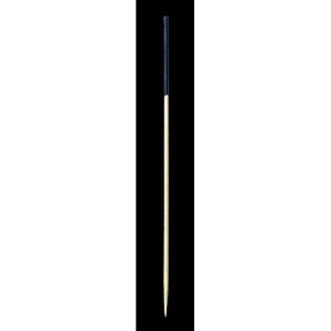 ����� 1�F 12cm 100�{ ��