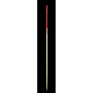 ����� 2�F 12cm 100�{ ��/�s���N