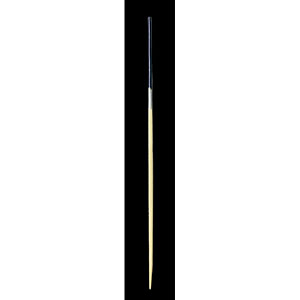 ����� 2�F 12cm 100�{ ��/��