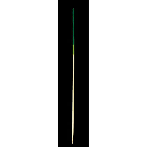 ����� 2�F 12cm 100�{ ��/����