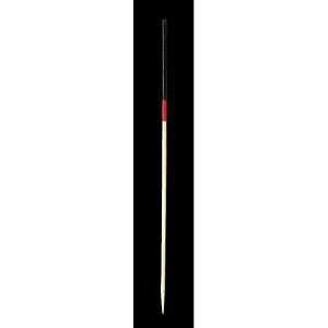����� 2�F 12cm 100�{ ��/��