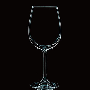 �V���g���b�c�� ���E�W�b�c ���@�C�������h ���C�� SL-20640 450ml