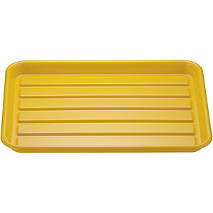 �M�z ABS �p�C���X �� �C�G���[