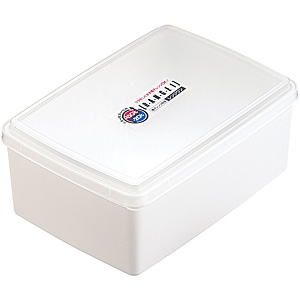 �G���e�b�N �����W���� �p�^ R-31 2,440ml