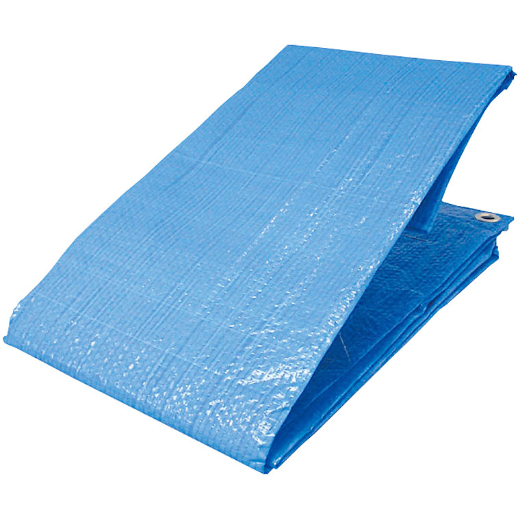 �g���X�R���R �Ōy�� �u���[�V�[�g 1.8�~2.7���[�g��