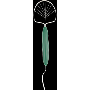 �L�� Broad Beans �A�{�J�h�J�b�^�[ AB5565