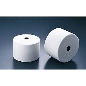 �v�[���X ���� ���[���� �^�I���f�B�X�y���T�[�p 24�{���� DTR-400 ����