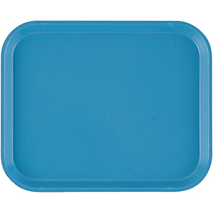 �L�����u�� �J���g���[ ���r���G�b�O�u���[ 810 205�~250mm