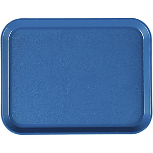 �L�����u�� �G�s�b�N�g���b�h�g���[ �X�p�j�b�V���u���[ 1014ET 349�~270mm