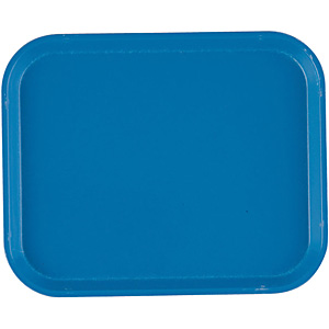 �L�����u�� �J���g���[ �z���C�]���u���[ 810 205�~250mm