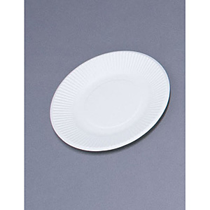 �y�[�p�[�E�F�A �X�^���_�[�h�v���[�g 100������ 18192 No.5