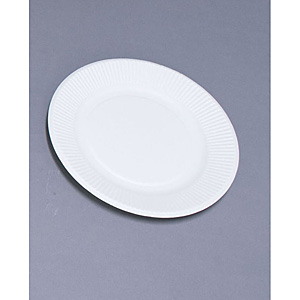 �y�[�p�[�E�F�A �X�^���_�[�h�v���[�g 100������ 18192 No.8