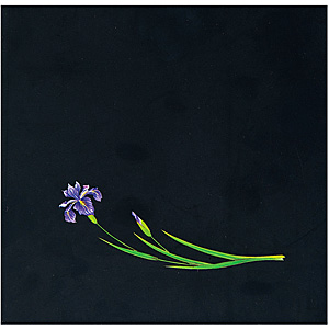 �A�[�e�b�N OP �N���A �l�G 150�~150mm 200������ OS-15-7 �����