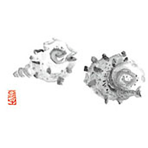 �J�~�C�\�Y�� ��3 �e�[�u���}�b�g 100������ No.101 ������