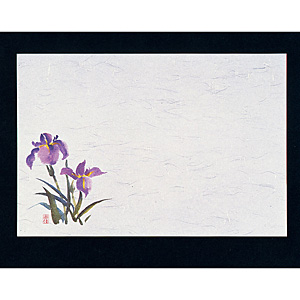 �}�C�� ��3 �l�G�� ��� 100������ M30-207 �����