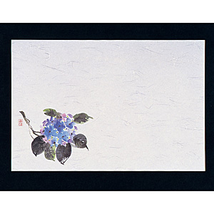�}�C�� ��3 �l�G�� ��� 100������ M30-208 ��������