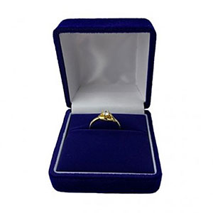 ���C�� �����O�P�[�X NR R /R No.1287 <���F���F��>