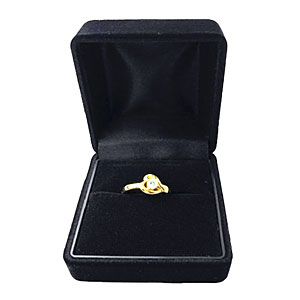 ���C�� �����O�P�[�X NR R /R No.1256 <���F���F��>