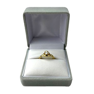 ���C�� �����O�P�[�X NR R /R No.251 <�O���[�F���F��>