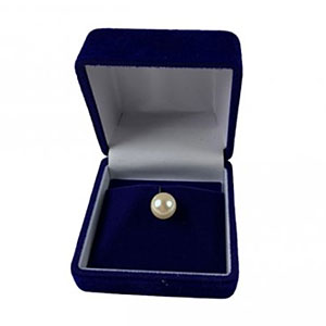 ���C�� �^�C�^�b�N�s���P�[�X NRTT No.1288 <���F���F��>