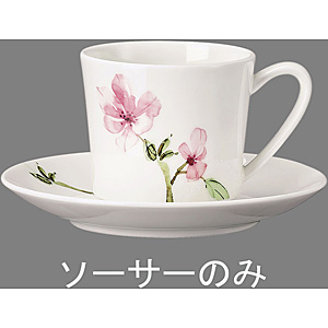 ���[�[���^�[�� �W�F�C�h�E�}�O�m���A �R�[�q�[�\�[�T�[15cm 34636